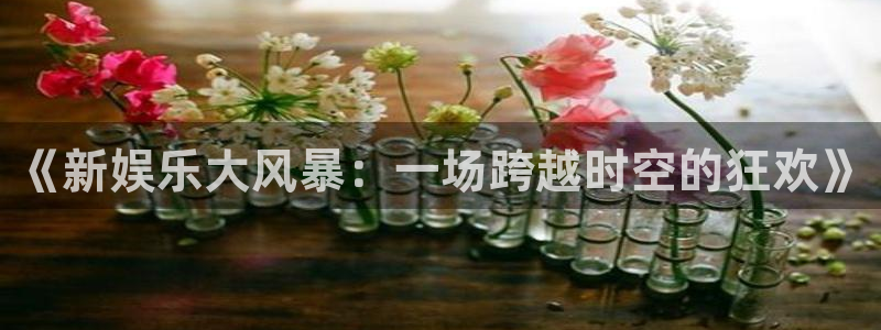 极悦平台