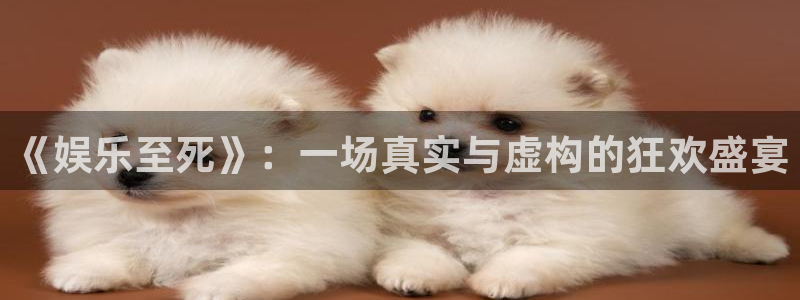 极悦注册