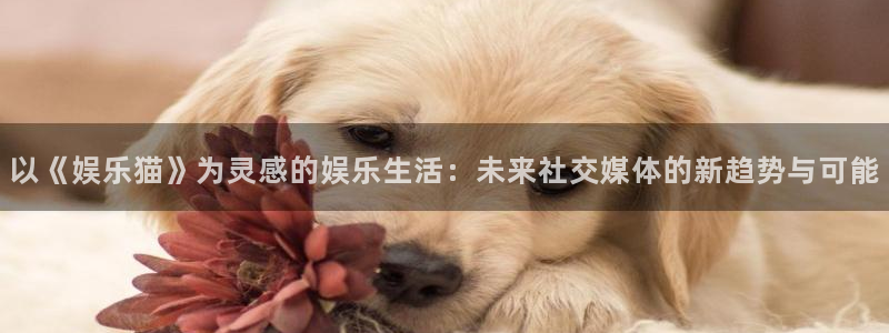 舒克极悦