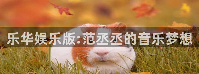 极悦娱乐注册